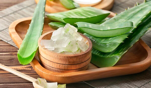 Aloe vera pri varixoch: Prírodná pomoc pre vaše nohy